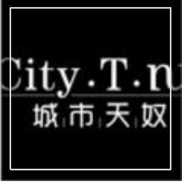 citytnu品质男鞋店