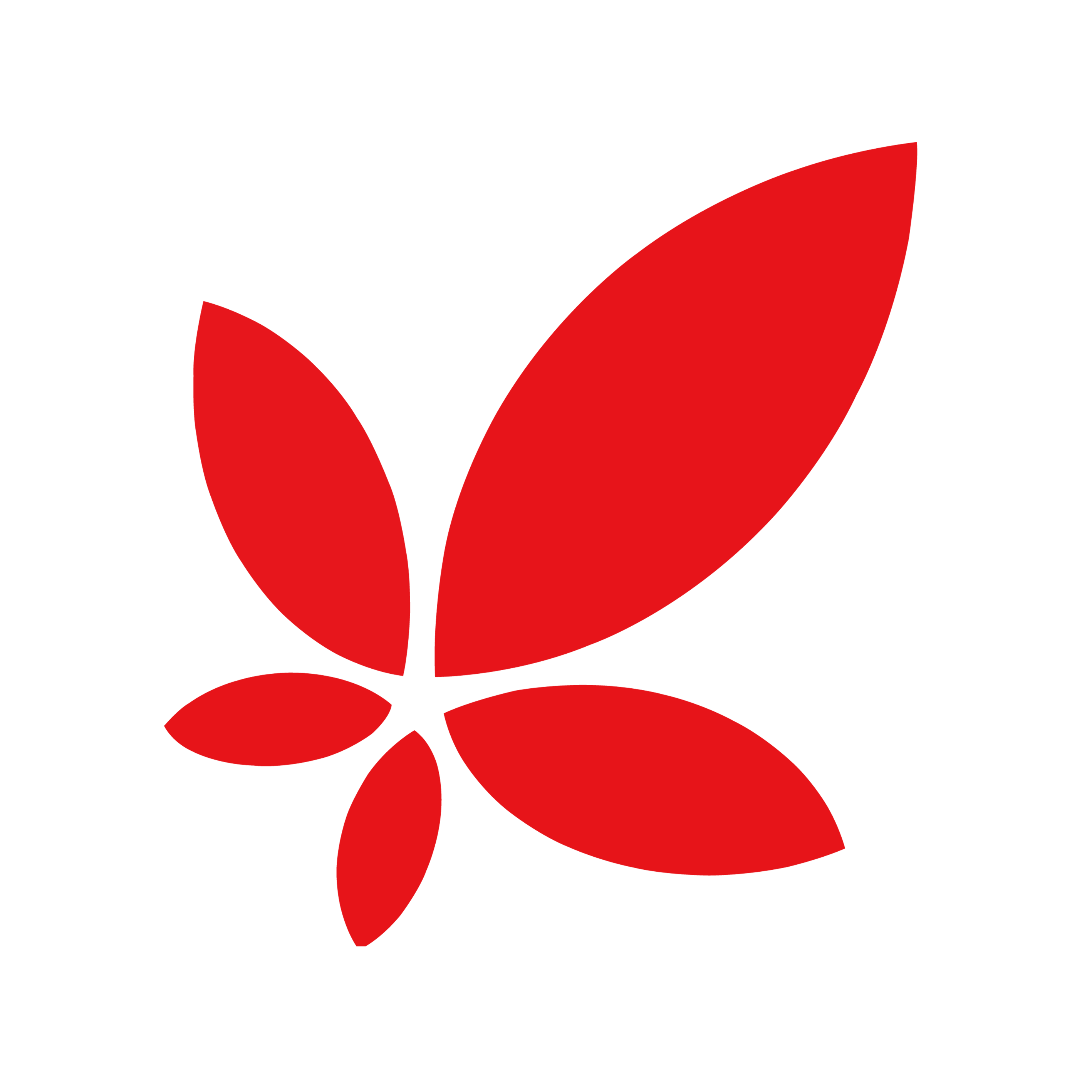 花朵数码旗舰店