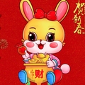 恒运世家地毯