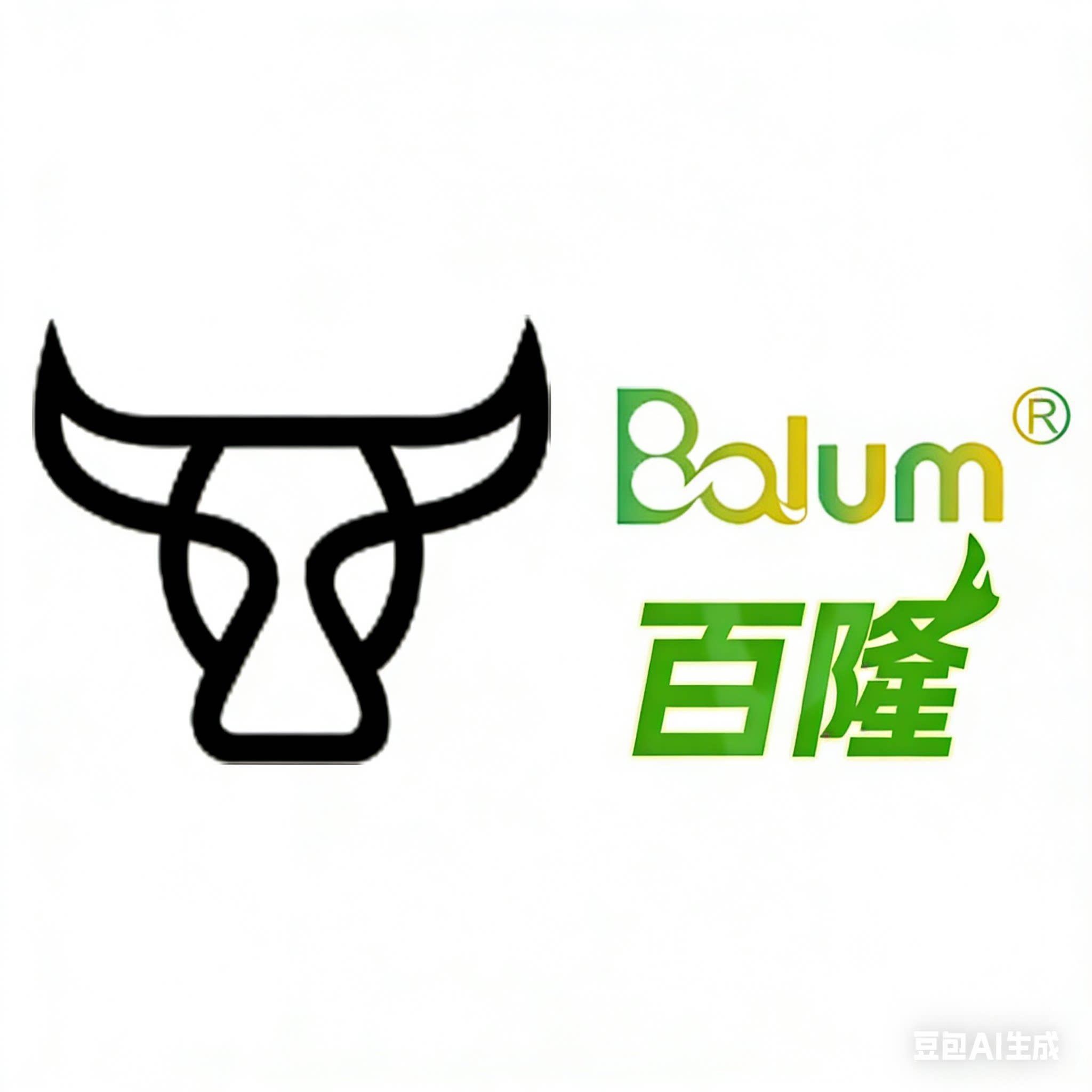 百隆数控刀具