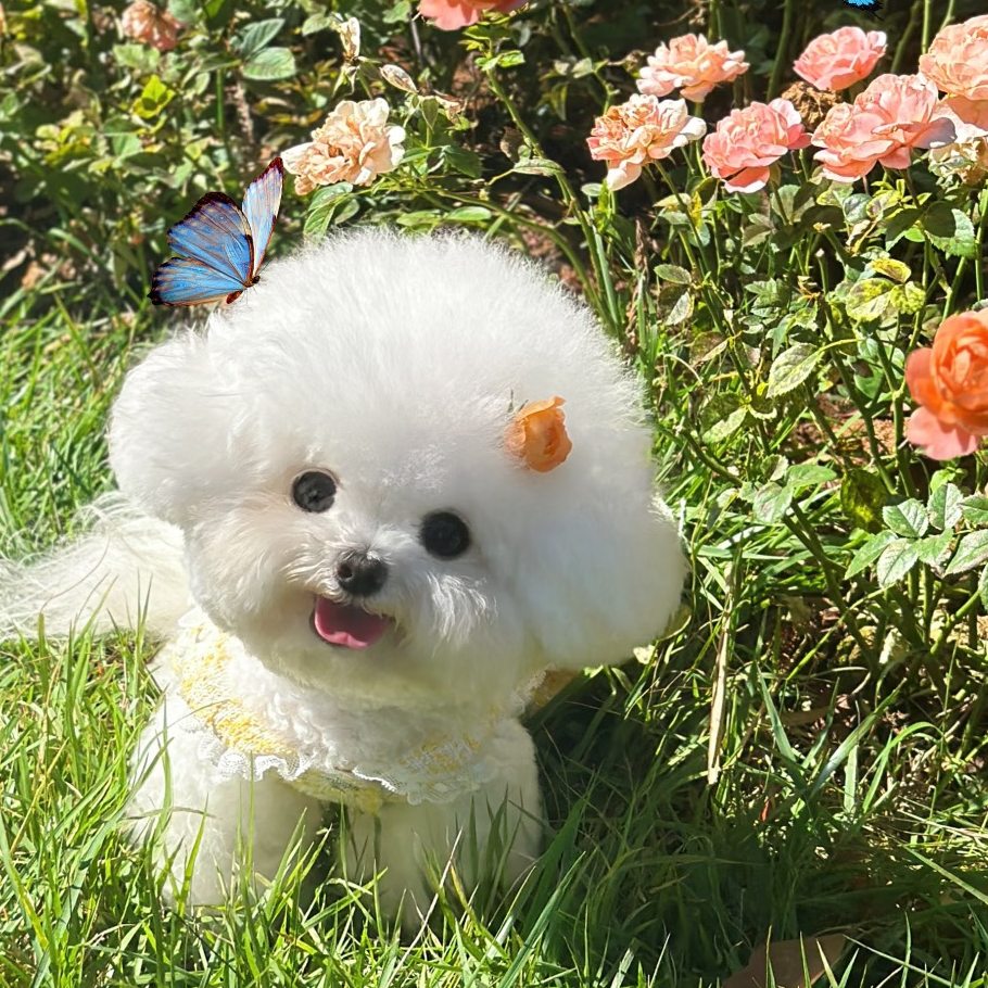 专供网红正品美妆