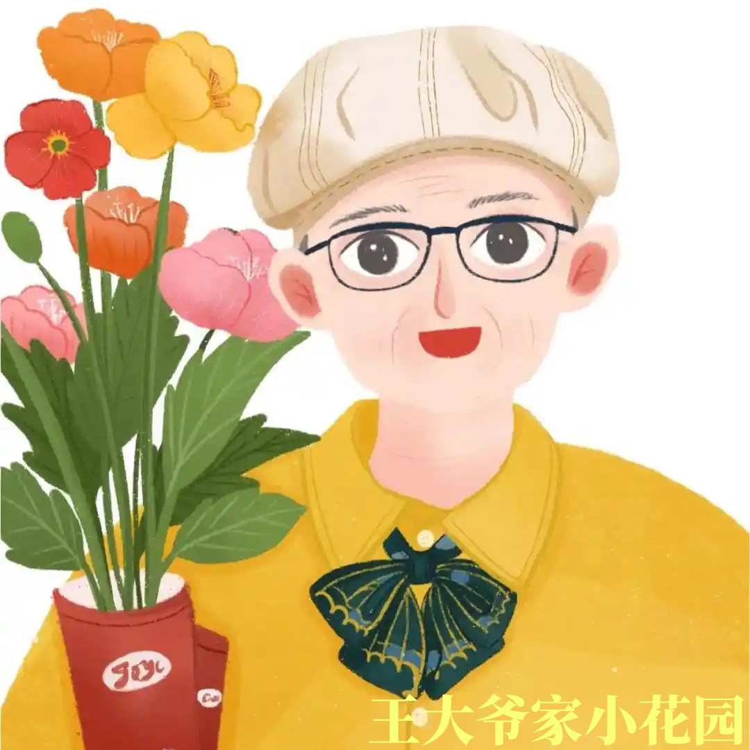 王大爷家的小花园