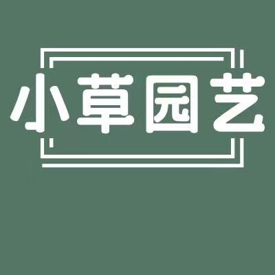 小草儿蛭石介质批发店