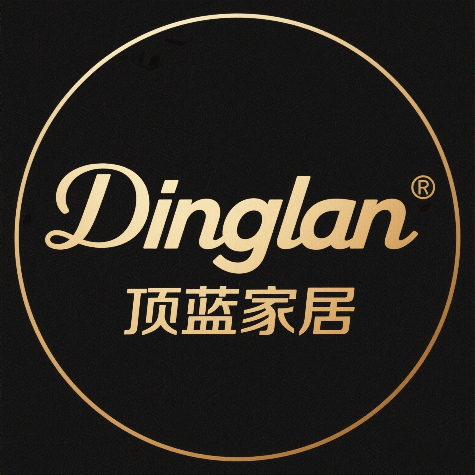 Dinglan顶蓝 官方企业店 店铺LOGO