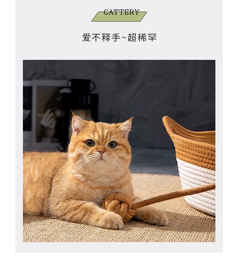 宠窝星球