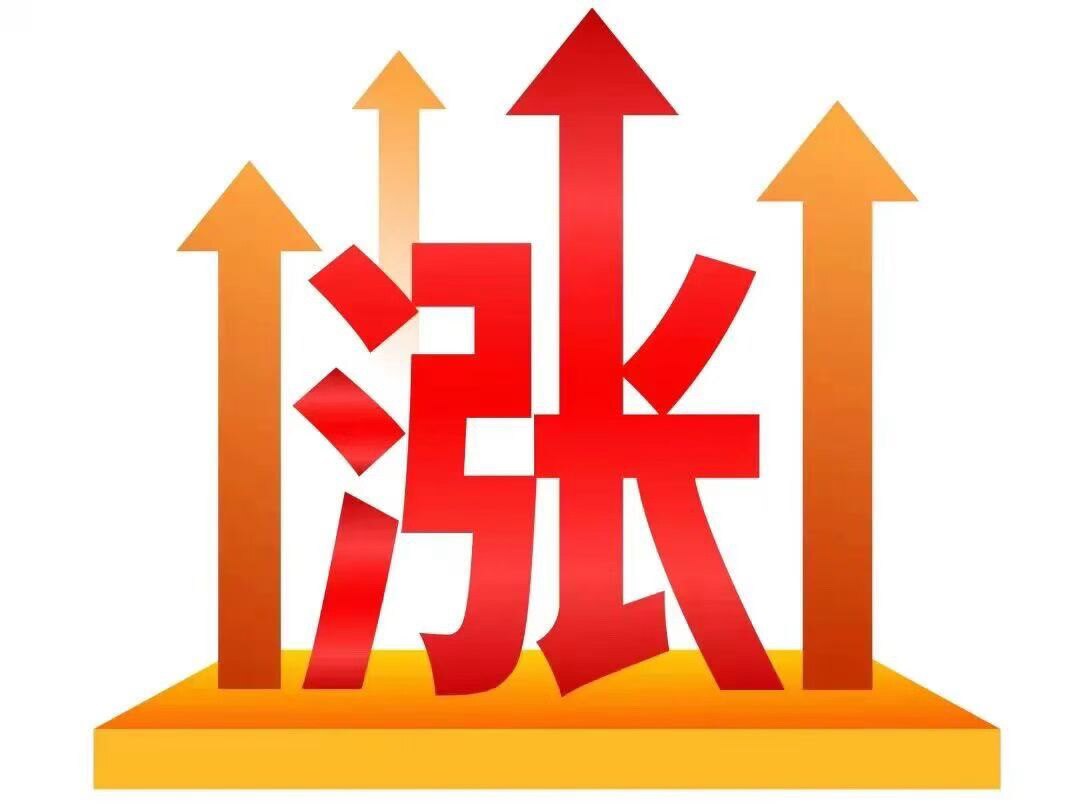 诺琪食品科技
