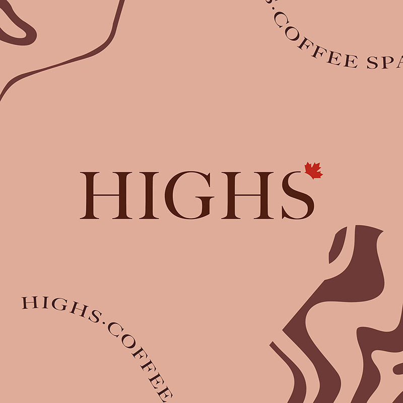 海斯HIGHS
