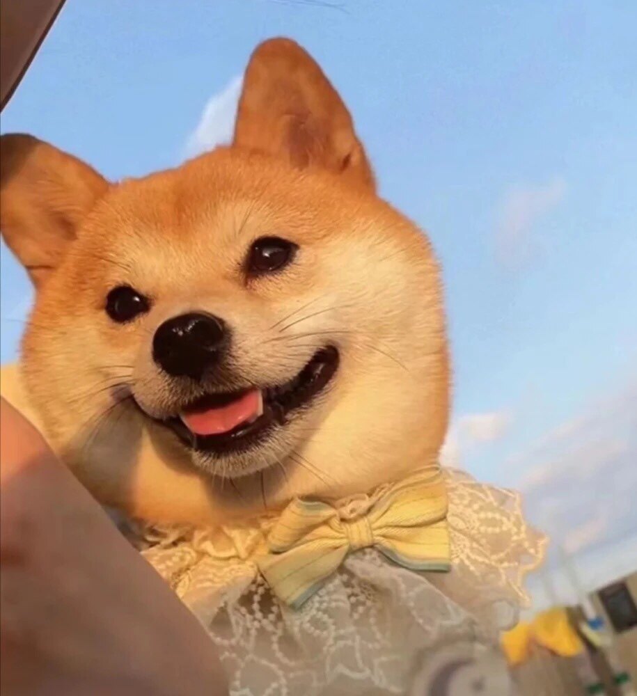 妍伊美妆