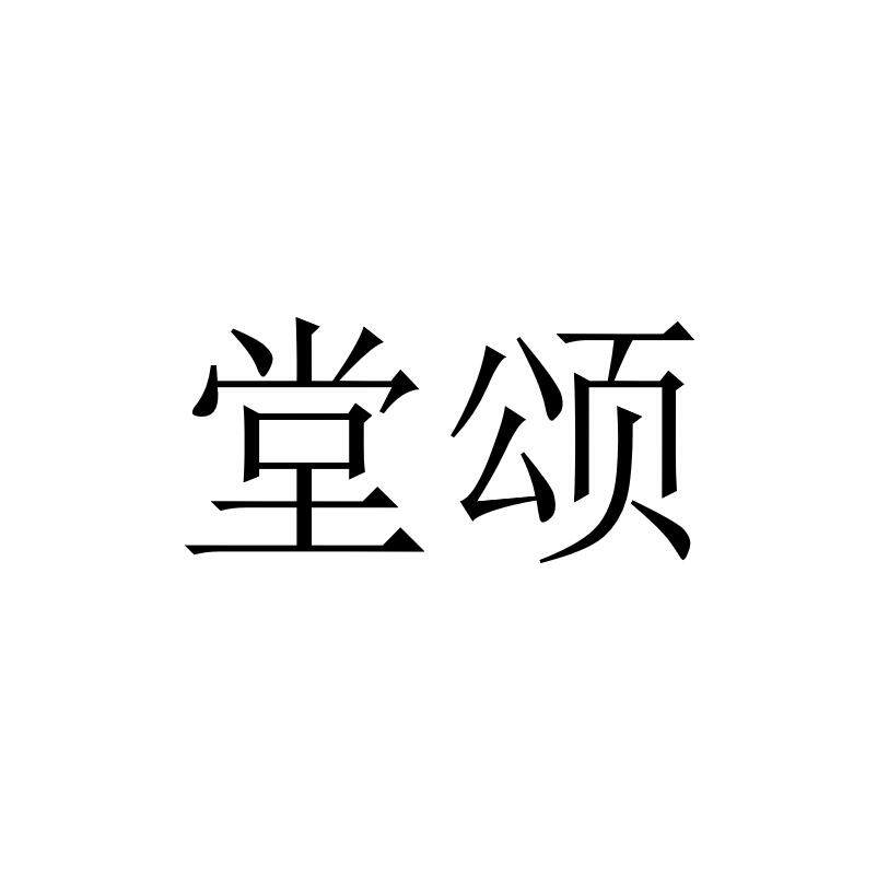 堂颂羽毛球官方企业店