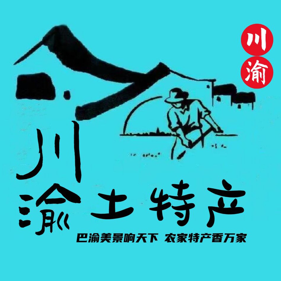 宣汉南坝牛肉干直销