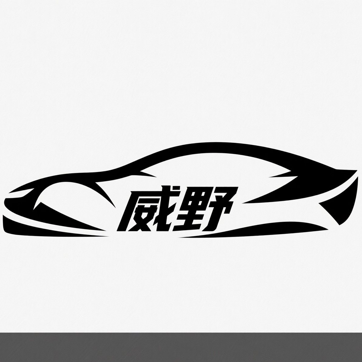 威野汽车用品工厂店