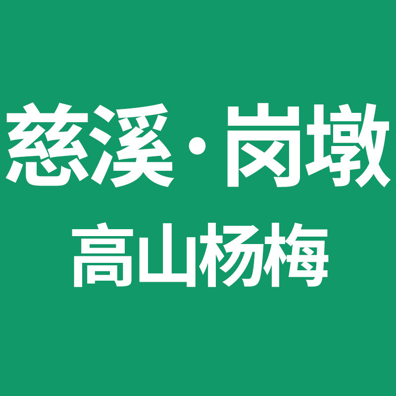 慈溪岗墩高山杨梅