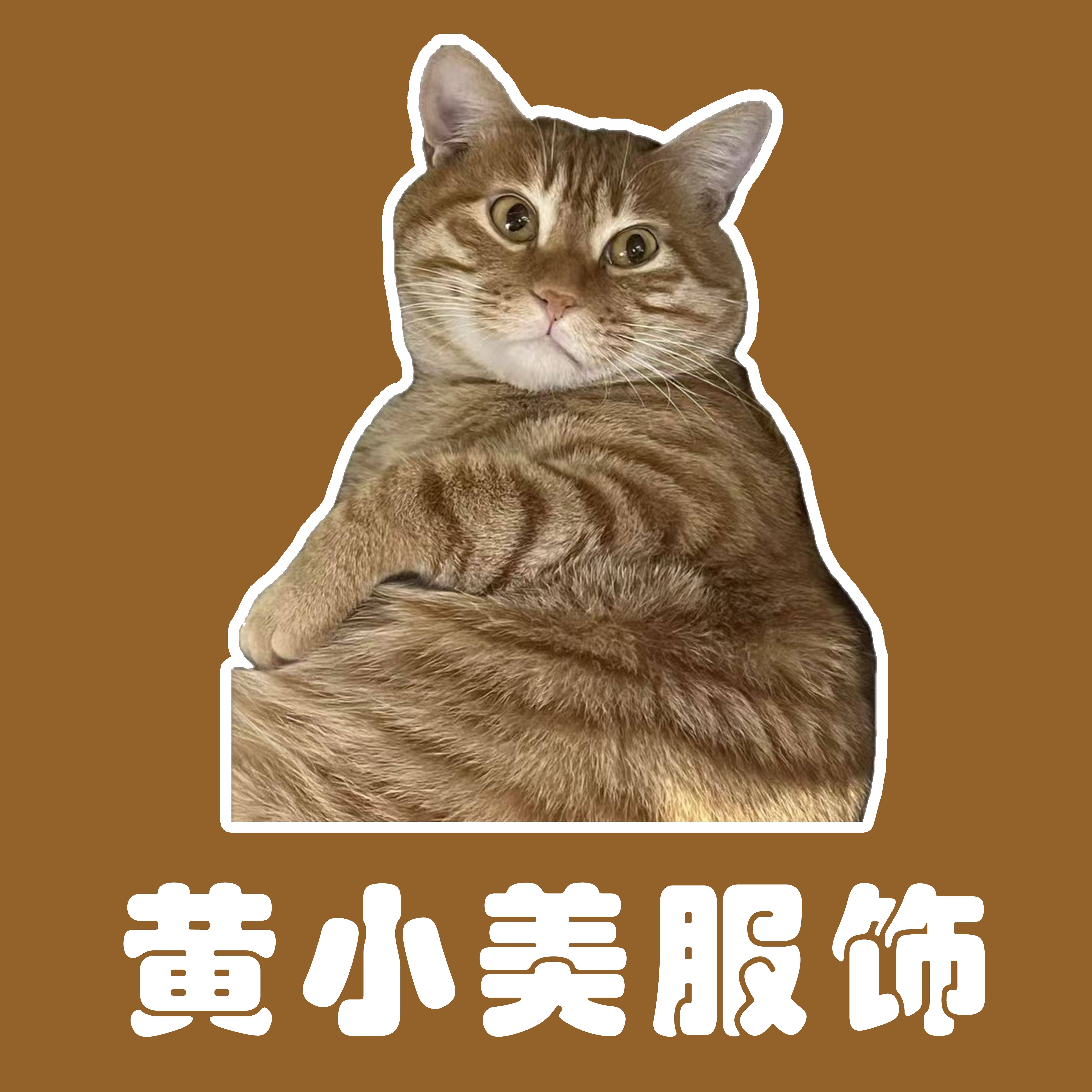 黄小美服饰 店铺LOGO