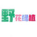 野花绿植