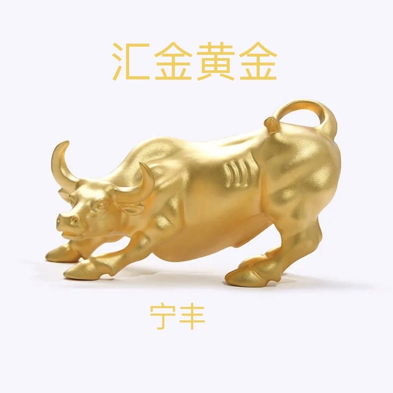 宁丰金汇