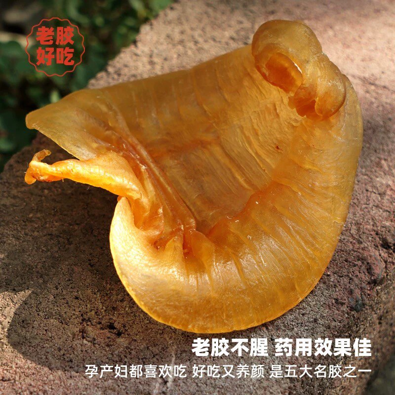 鱼胶王子 店铺LOGO