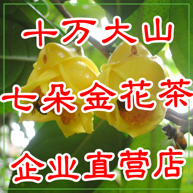 广西十万大山野金花茶特营店