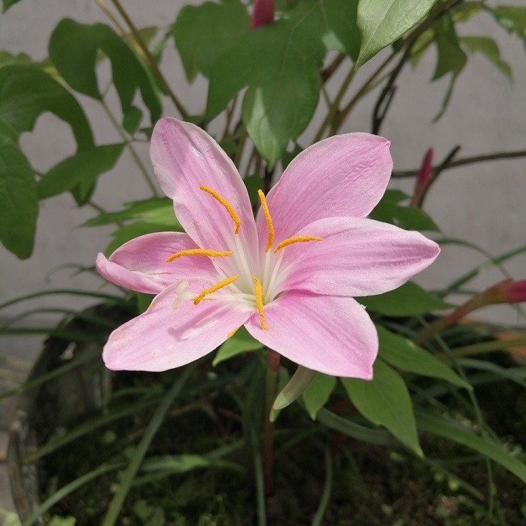 万物互联馆