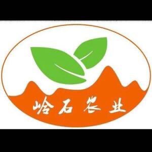 满歼成都运营部