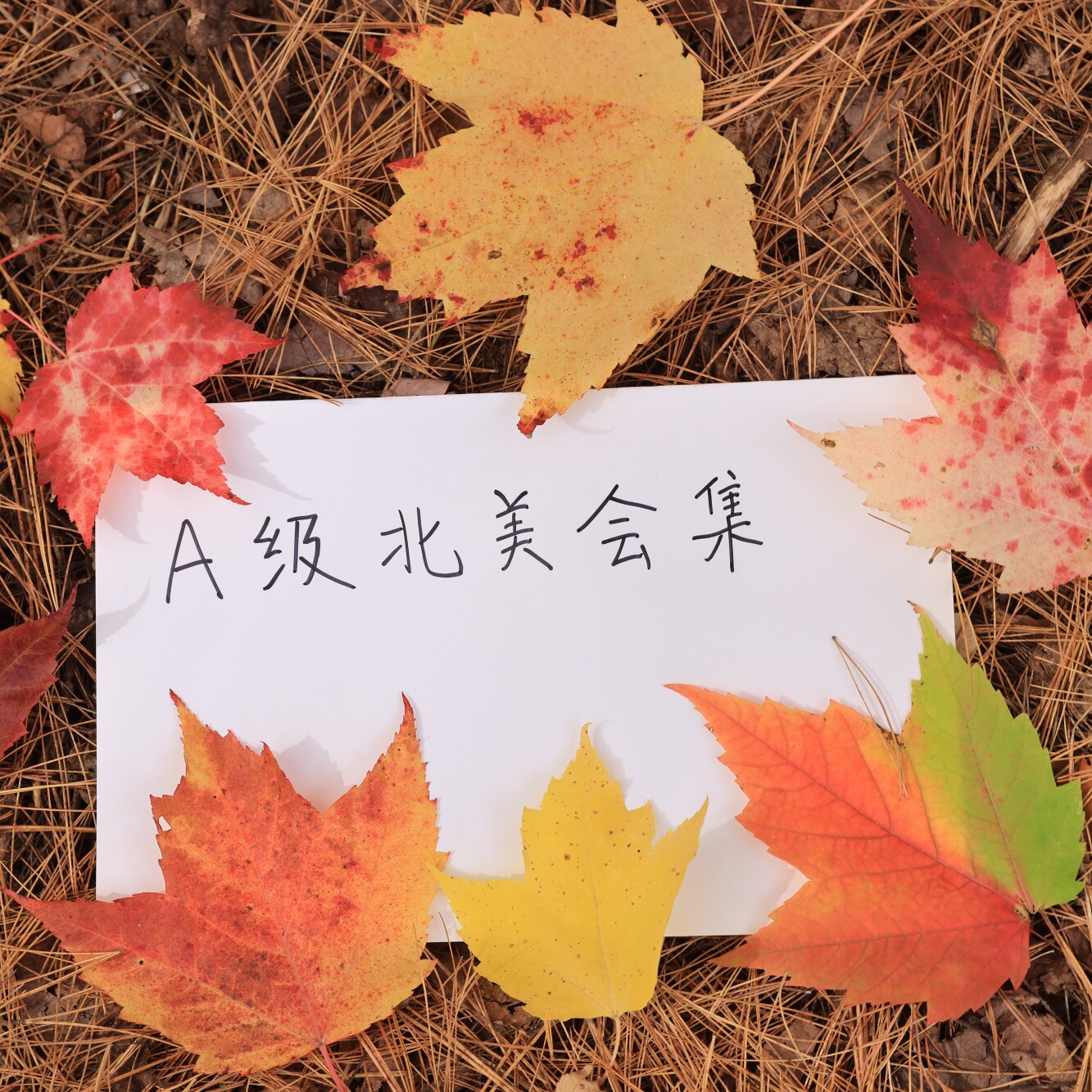 A级北美会集