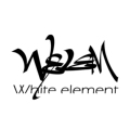 WELEM运动户外 店铺LOGO