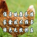 晨辉牧业