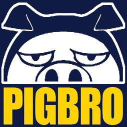 二师兄PIGBRO 店铺LOGO