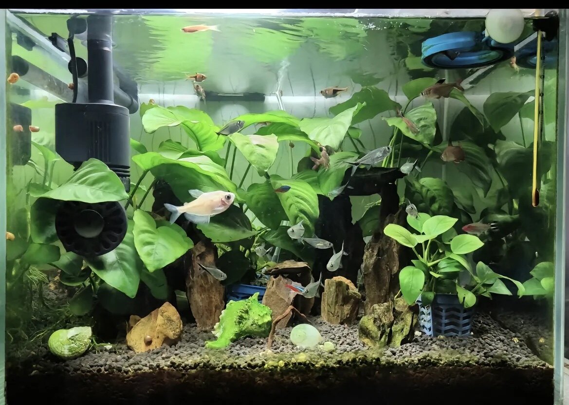 养鱼人水族用品店