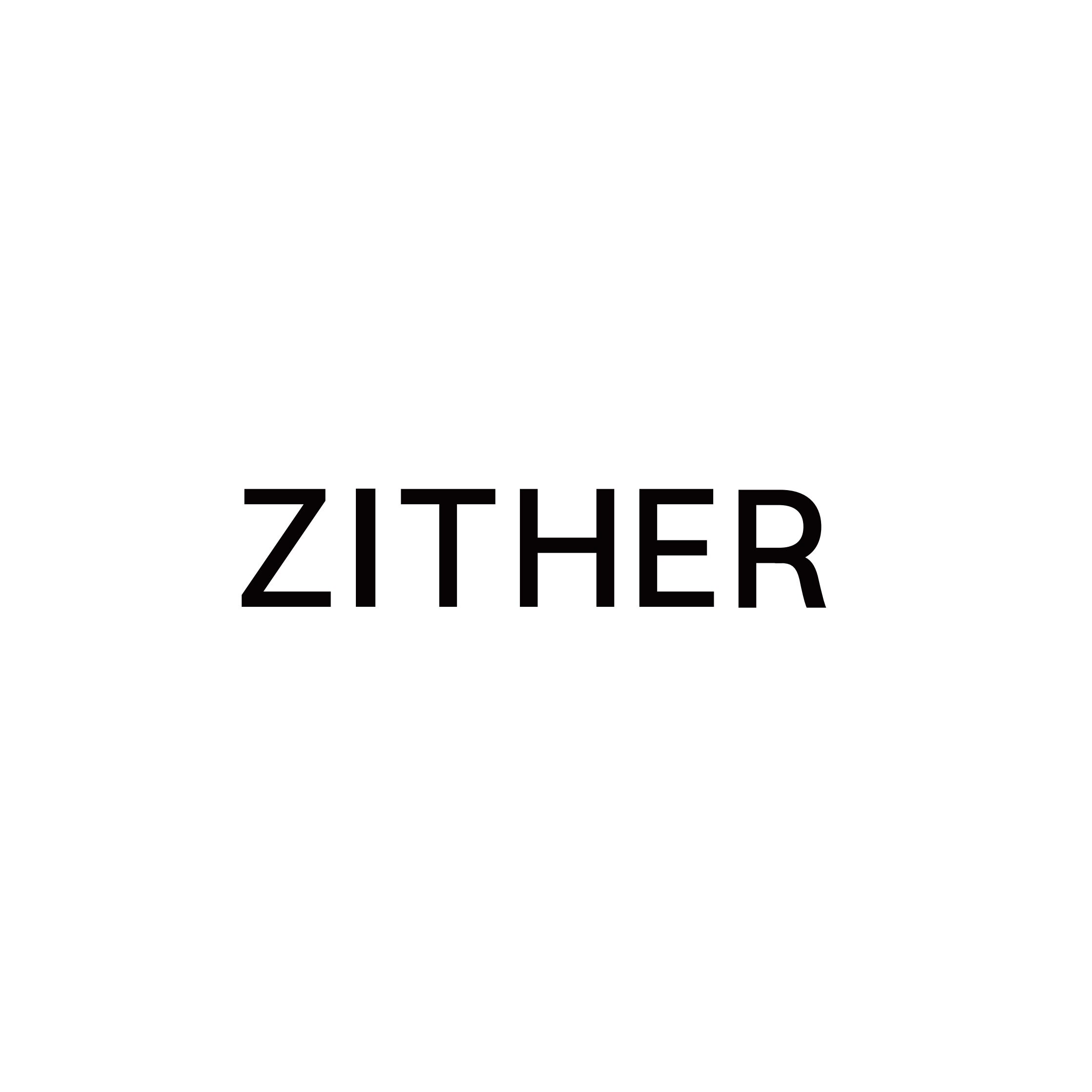 ZITHER官方店