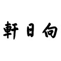 青天閣 向日轩