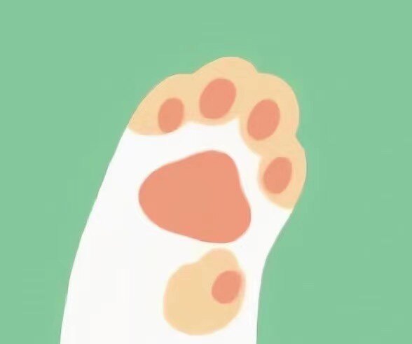 喵爪爪萌宠