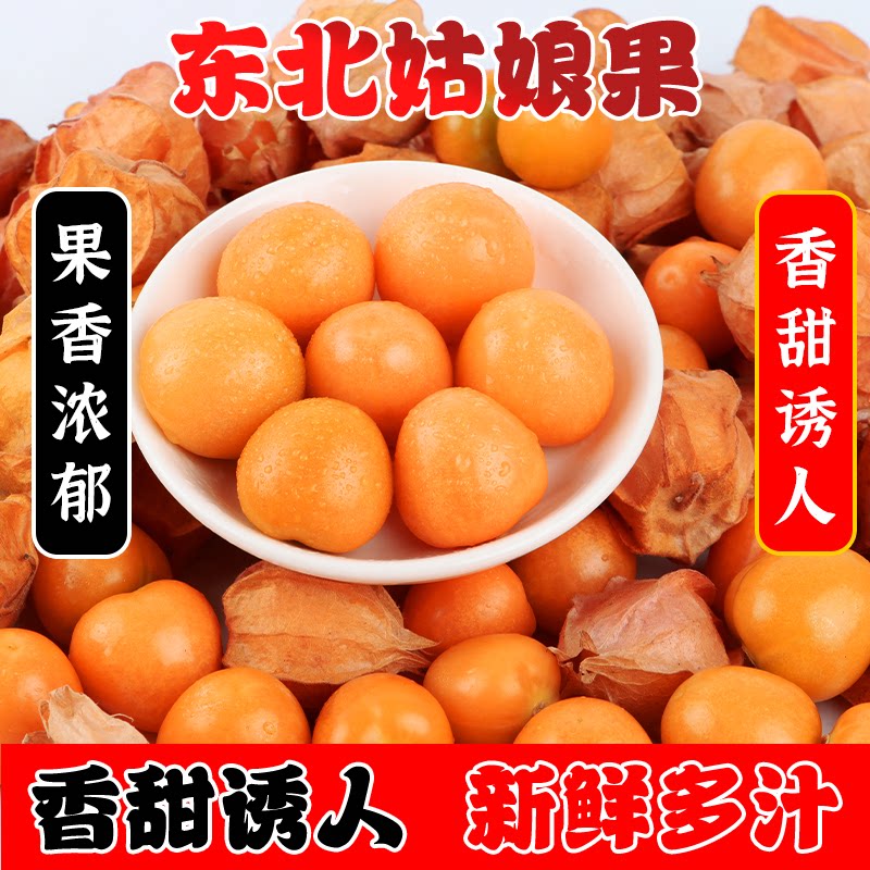 上山摘果人