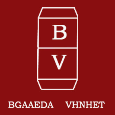 原创BV品牌店 店铺LOGO