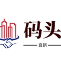 上海洞泾镇洞伟支路码头