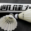 凯健龙羽毛球直销店