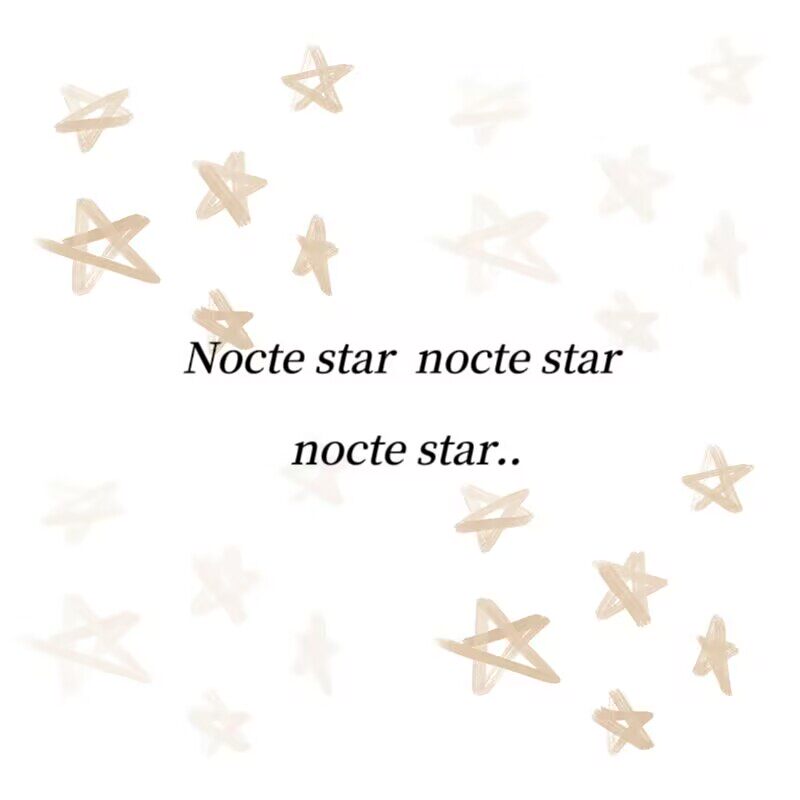 Nocte star折星手作
