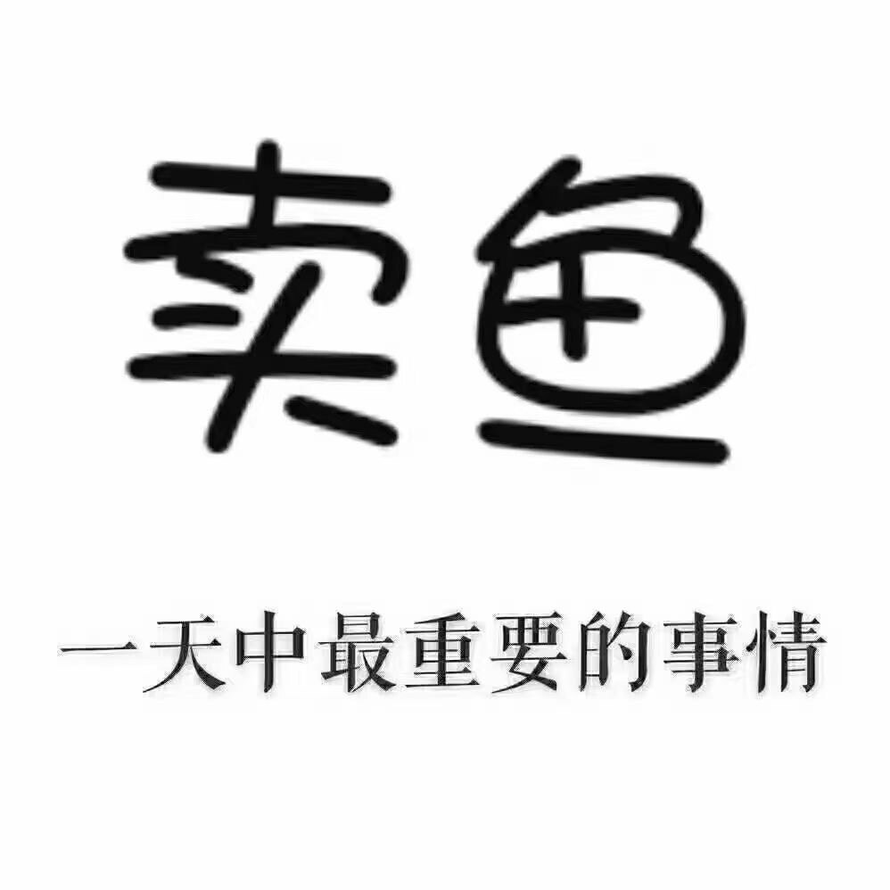好运小鱼