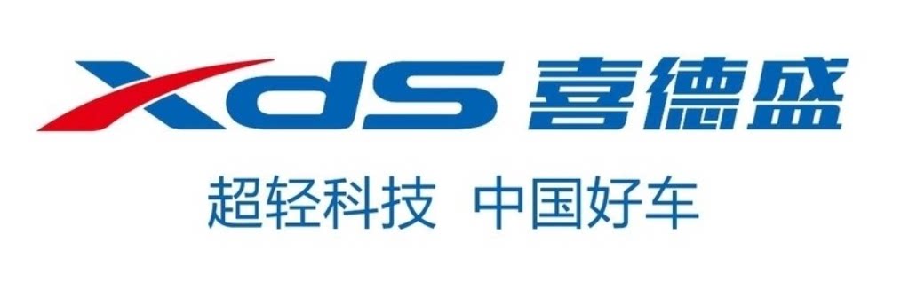 喜 德盛童车星光店