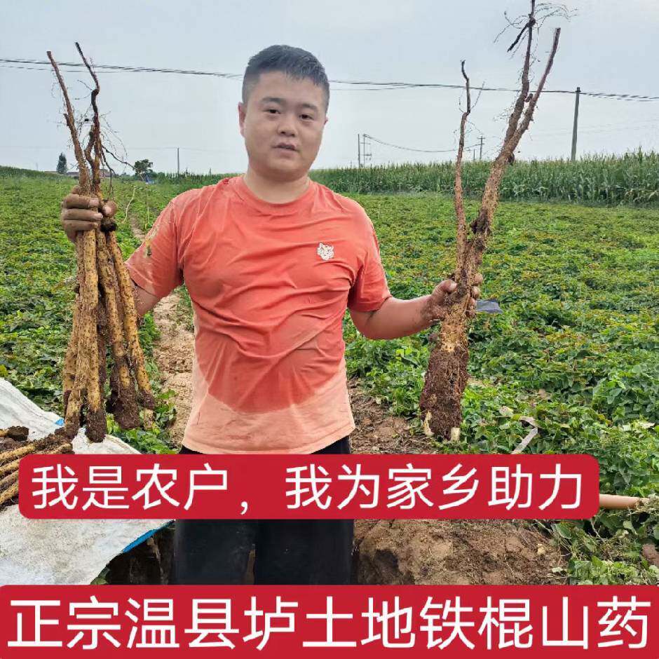 亚伟垆土铁棍山药
