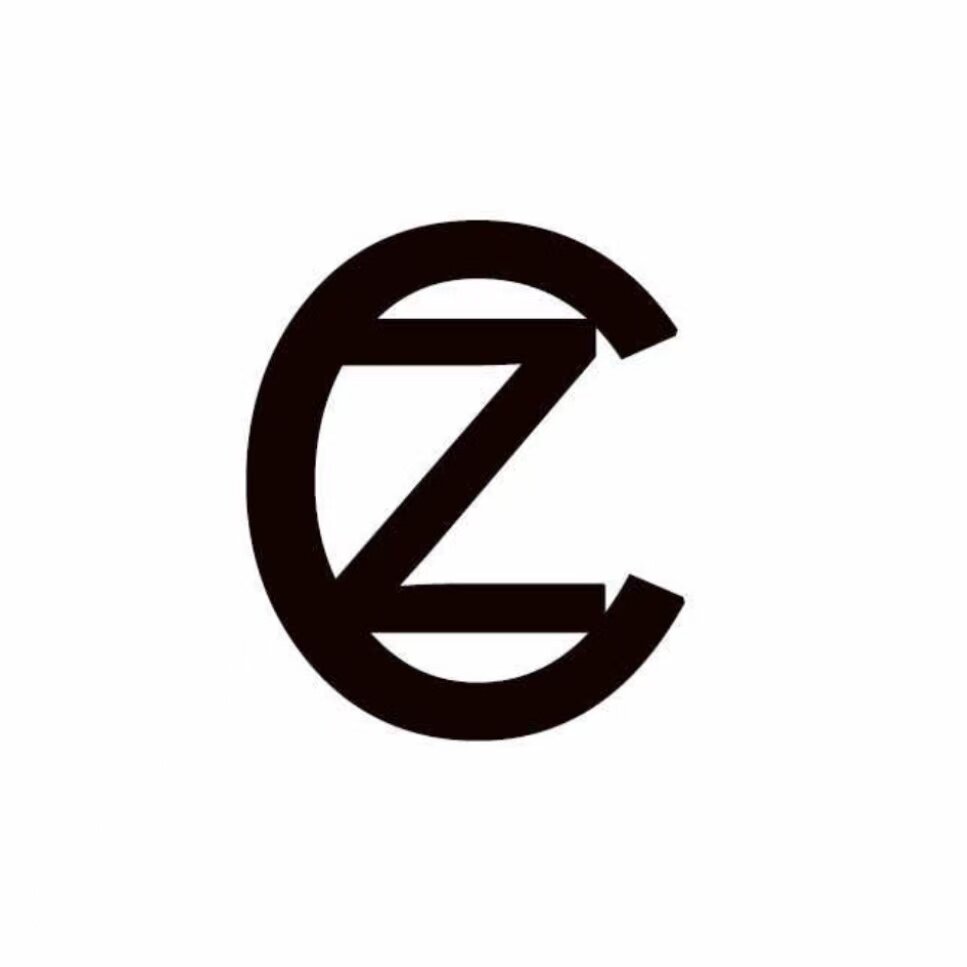 ZC KIDS童装 店铺LOGO