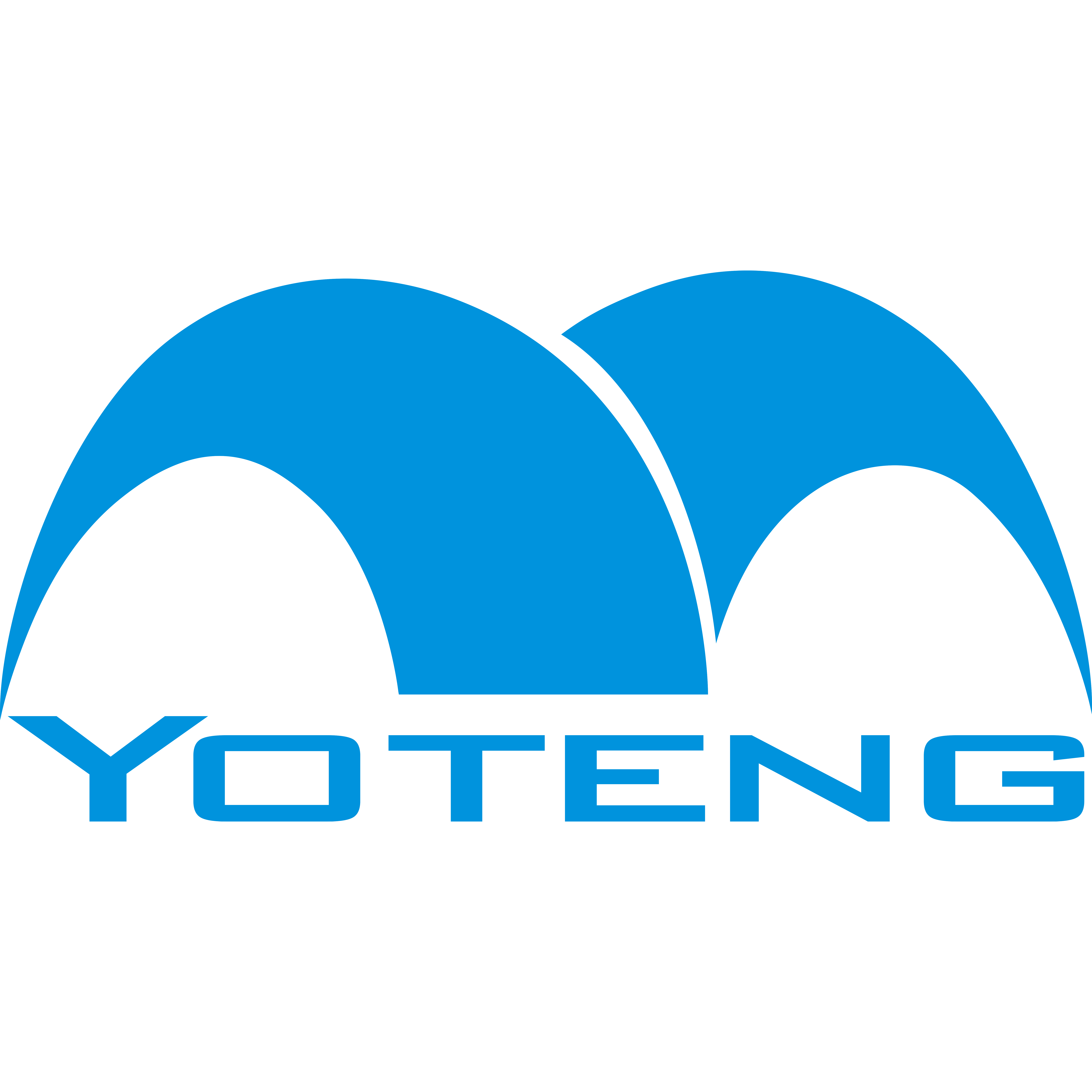 YONGTENG 店铺LOGO