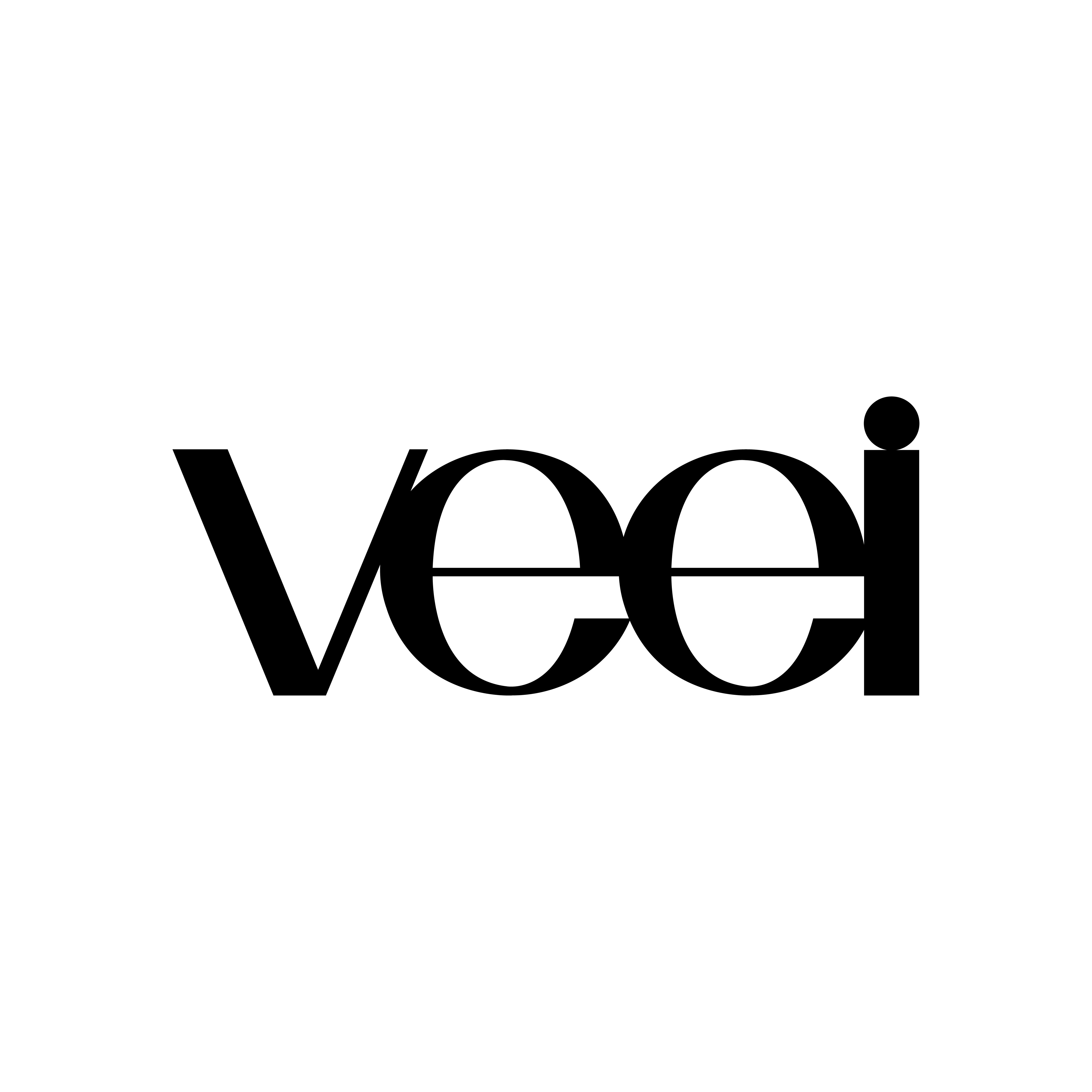 veei户外 店铺LOGO