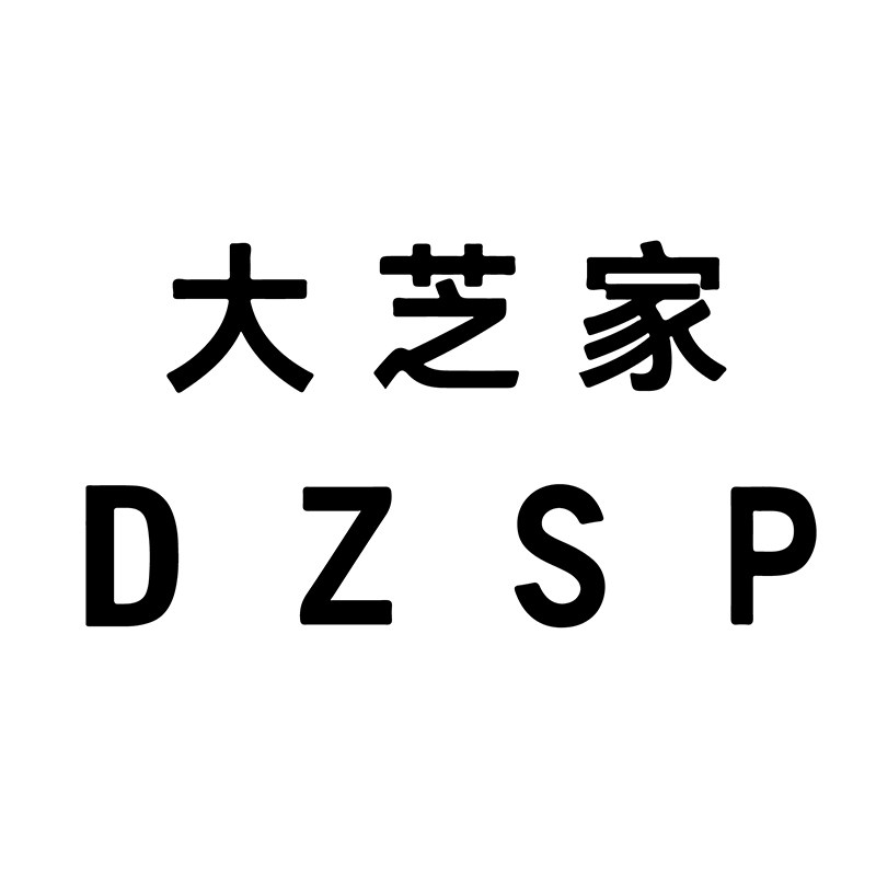 DZSP 大芝家高端女装 品质实拍