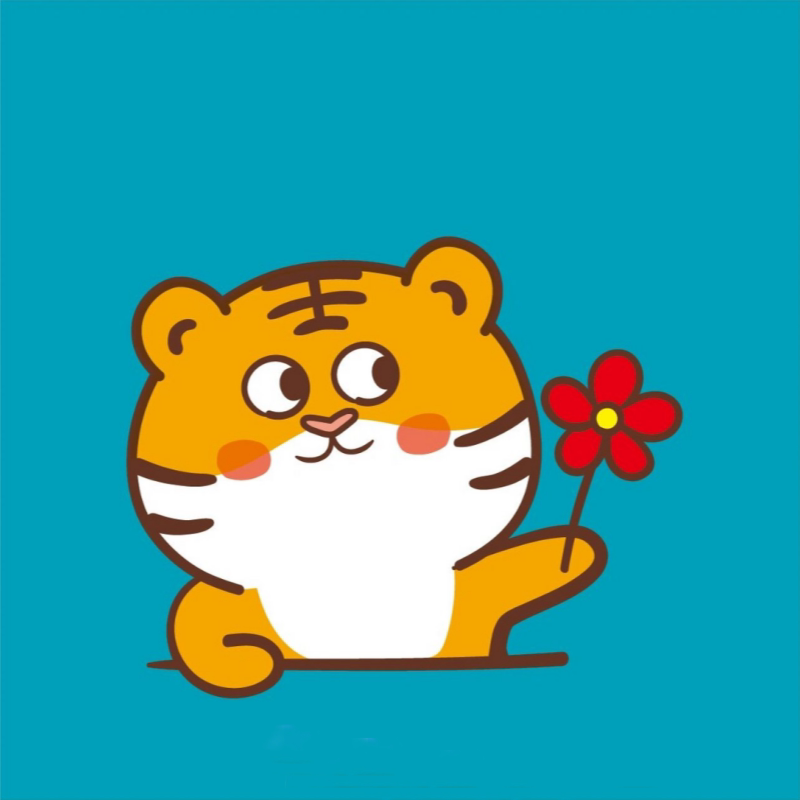 小虎韩国发饰