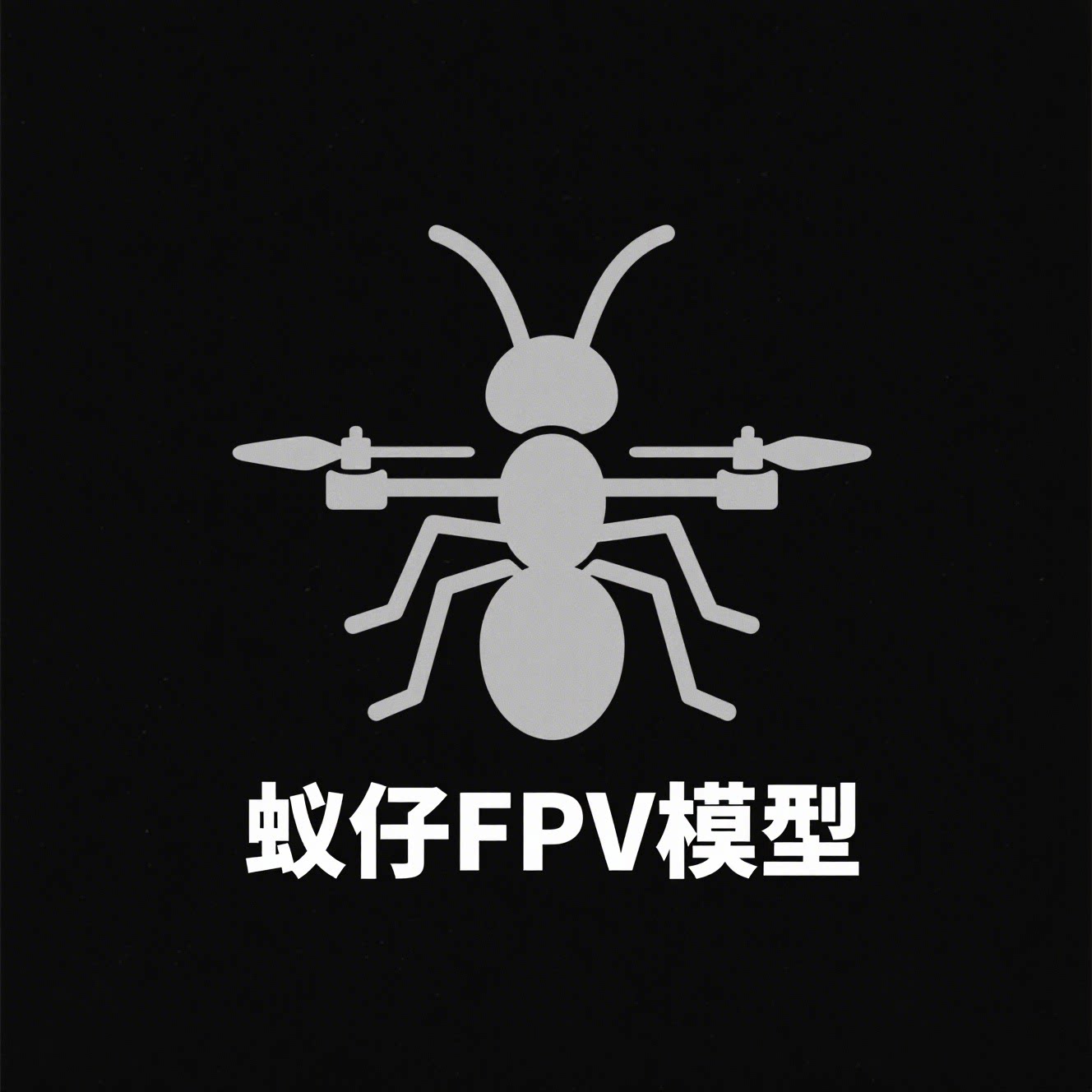 蚁仔FPV模型