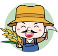 嗨稻鸽