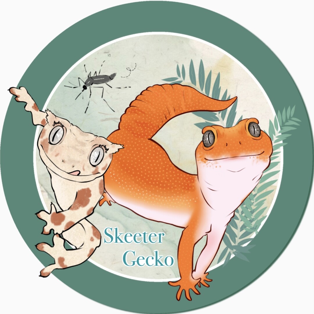Skeeter Gecko