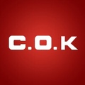 cok电器旗舰店