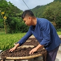 绿健山货