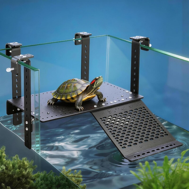 嘻嘻水族馆